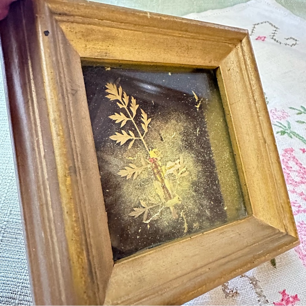 Vintage Botanical Shadow Box Frame – Gold Wood, 4.5” Square - Picture 3 of 8